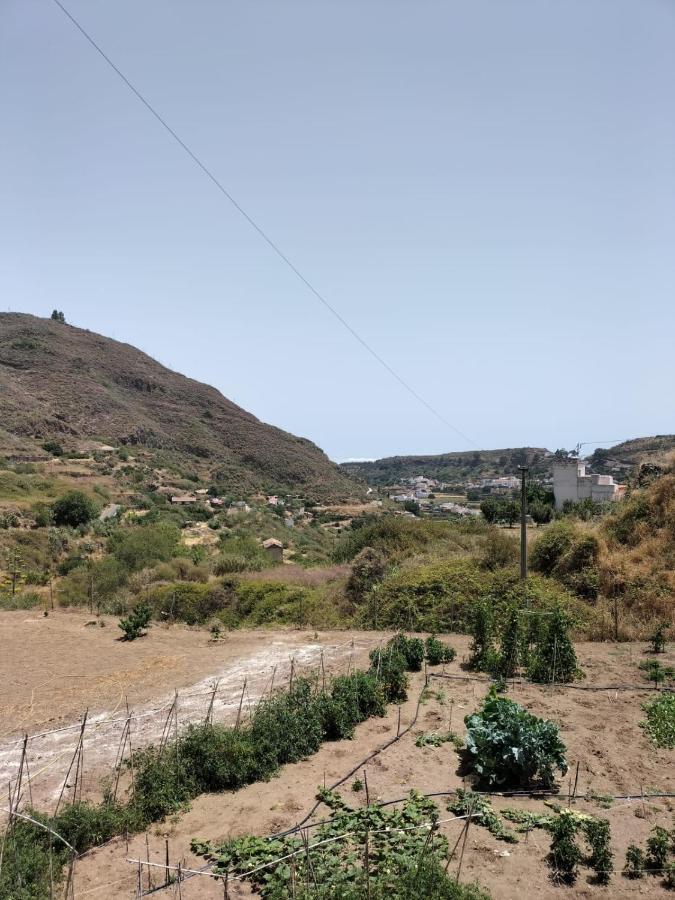 Casa Azul Mountain Retreat Διαμέρισμα Vega de San Mateo Εξωτερικό φωτογραφία