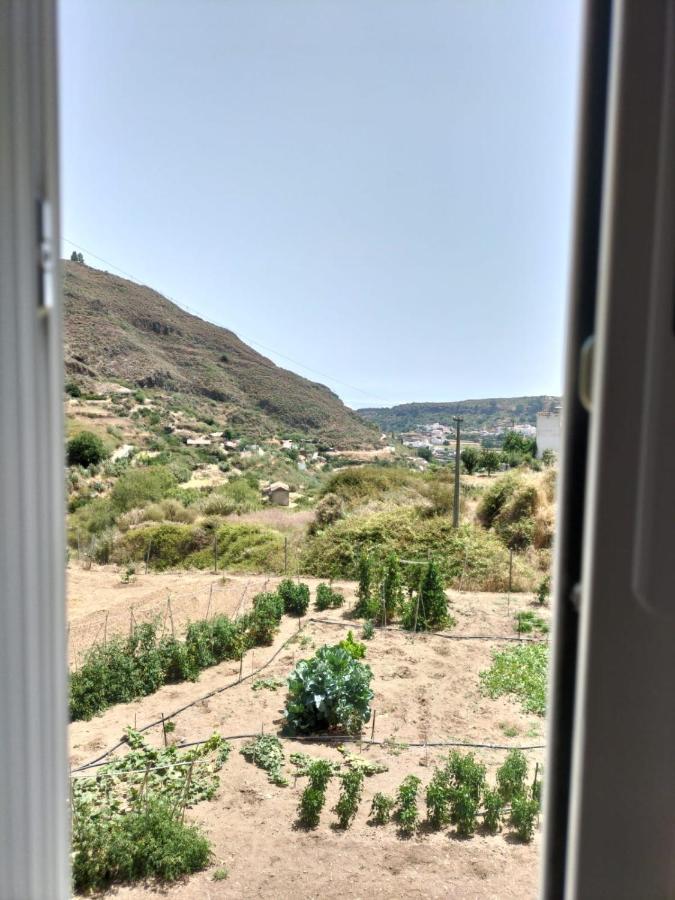 Casa Azul Mountain Retreat Διαμέρισμα Vega de San Mateo Εξωτερικό φωτογραφία
